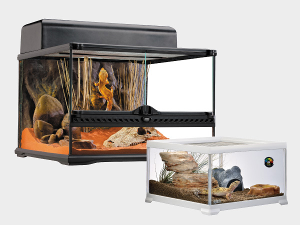 KAYUSO ガラス飼育ケージ 50x30x35 cm KAYUSO ガラス飼育ケージ