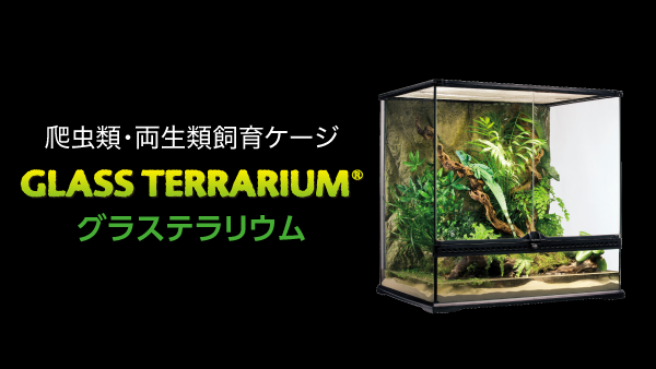 新品GEX EXOTERRA グラステラリウム9060 PT両開きフロントドア
