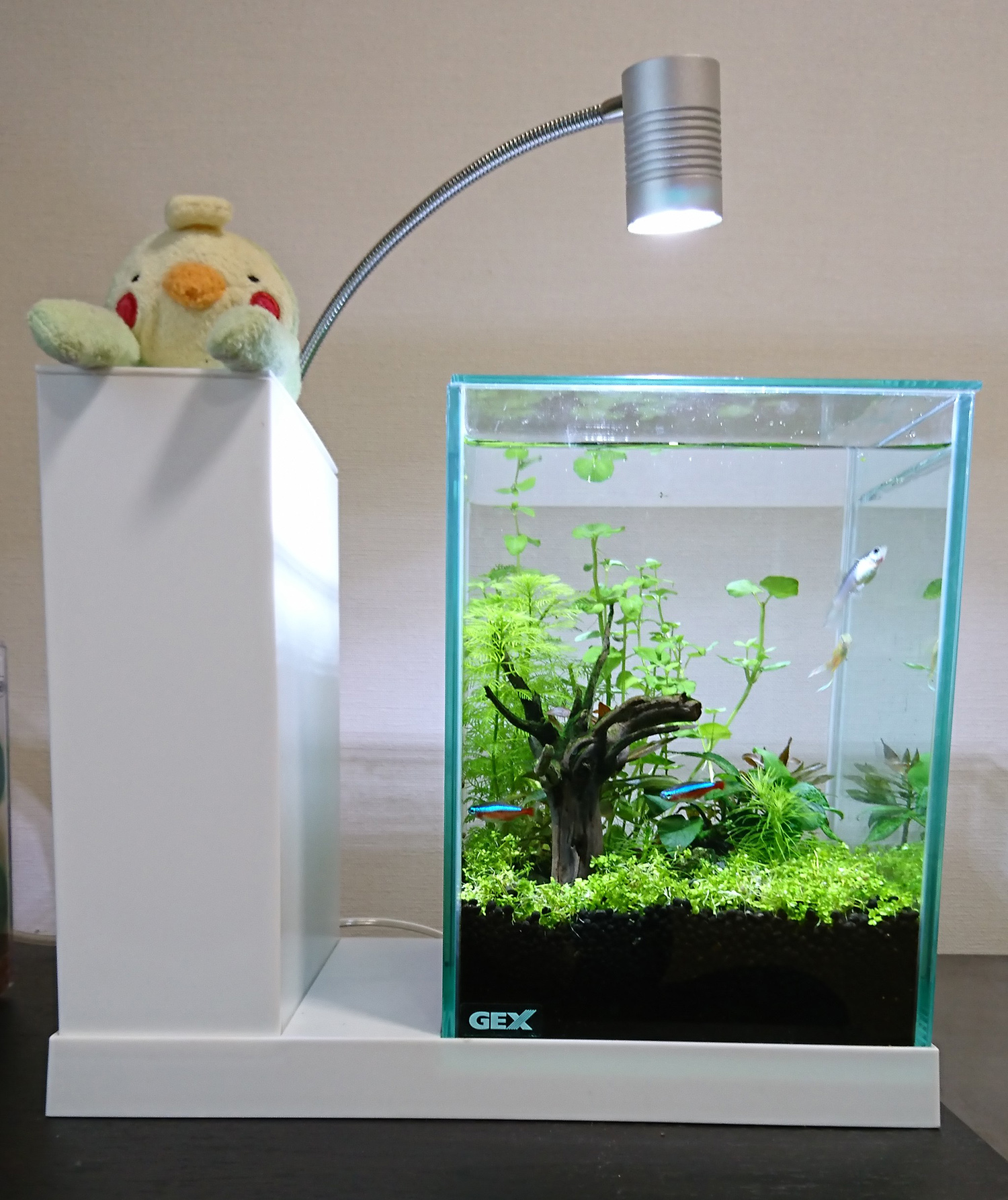 GEX AQUA-U WIDE アクアユー ワイド ホワイト GEX AQUA-U WIDE ホワイト