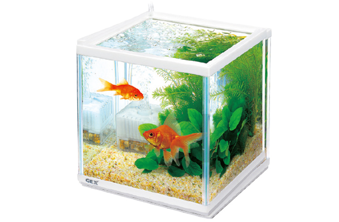 水槽づくり 飼育情報 熱帯魚 観賞魚 アクアリウム用品 ジェックス株式会社