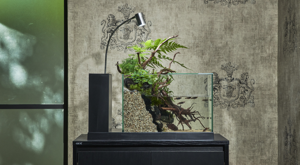 GEX アクアリスタ AQUA-U アクアユー ブラック ガラス水槽 GEX