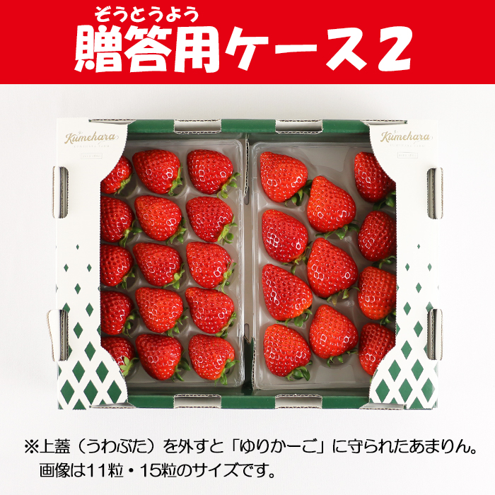 先行予約開始 出荷：3月中旬以降】高級いちご 春のあまりん 2パック