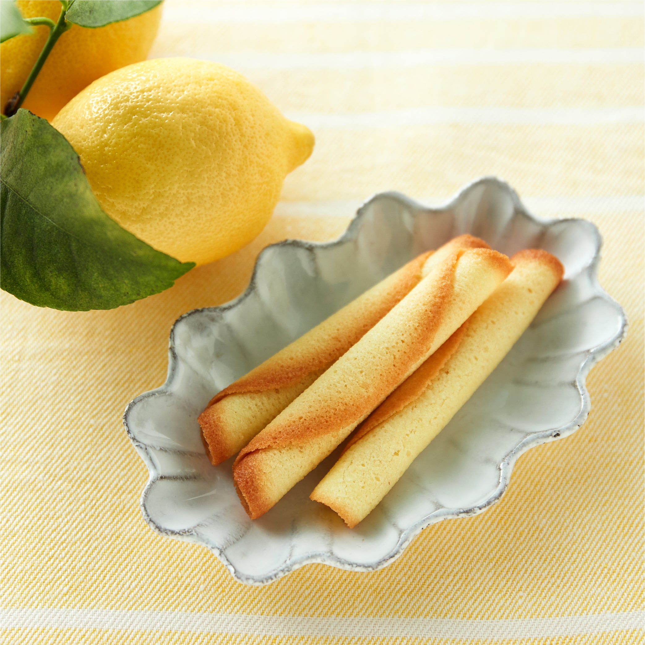 ぼくのレモンラングロール（24個入） – ジャンディーノ＆東京