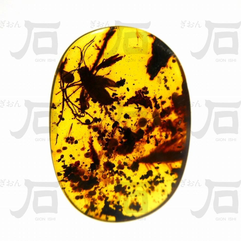 鉱物・化石の京都ぎおん石