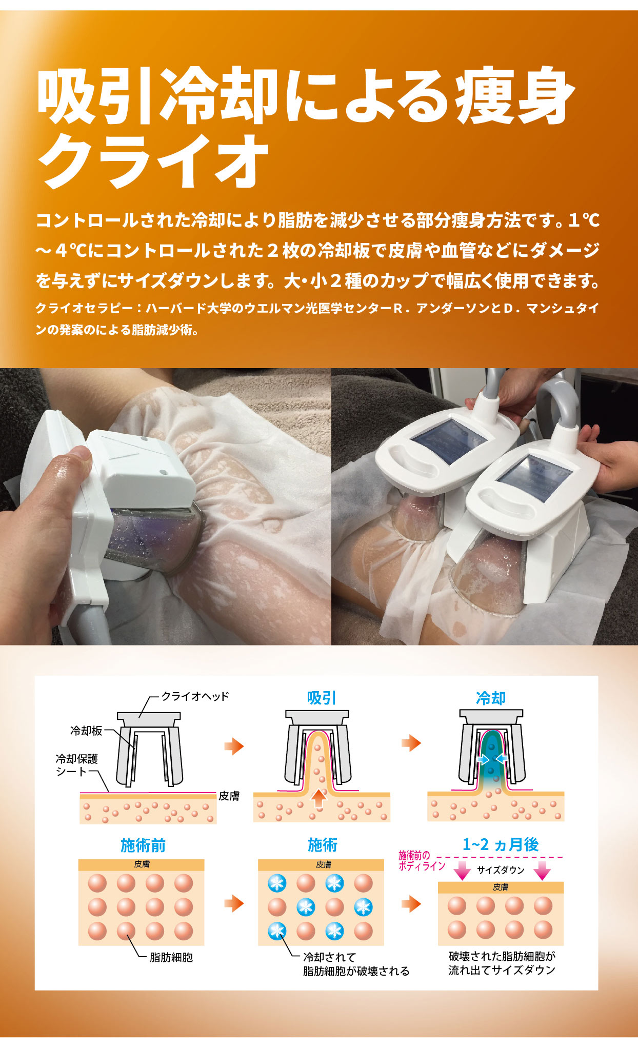 Z-Shock | ズィーショック 痩身、デトックス、フェイスなど業務用美容