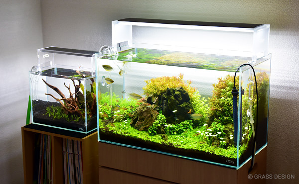 CO2を分岐させて2つの水草水槽へ添加する方法！ | GRASS DESIGN