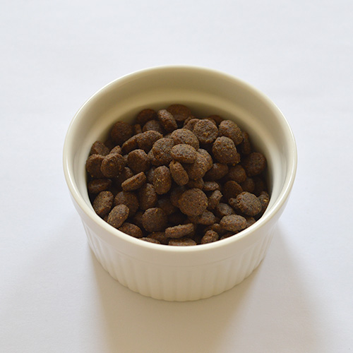 N&D パンプキン ダック メロン入り 成猫用 NADDNDPA-00 | エヌアンド