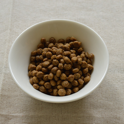 デイリープロ アダルトミニ ラム（小粒） FRZAZA31-00 | フォルツァ