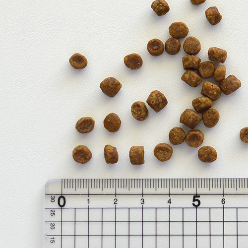 ゴーソリューションズセンシティブダックレシピ500㌘ GO!SOLUTIONS