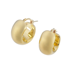 GSTV イタリアンジュエリー 耳モノ（ピアス・チャーム・イヤリング）の