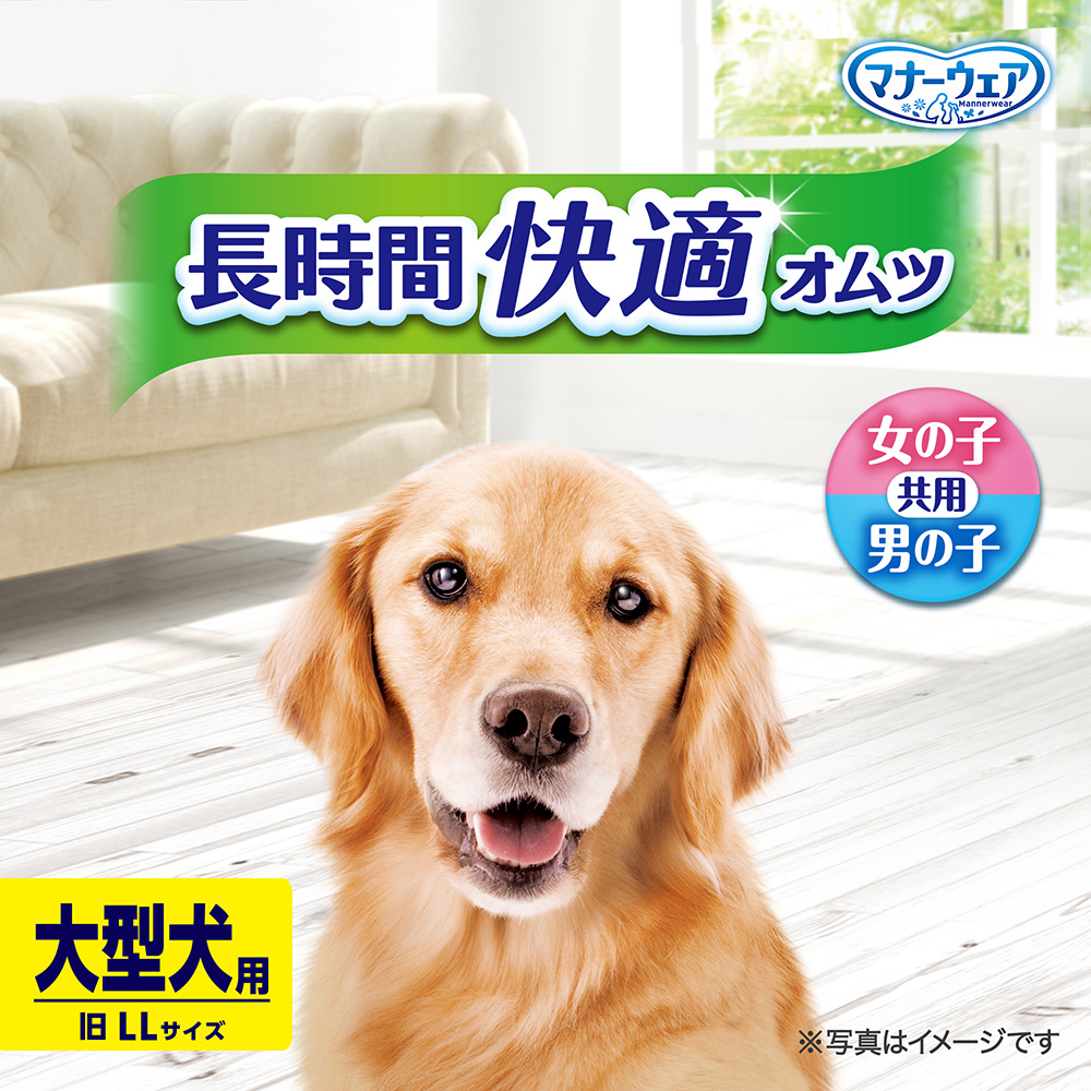 マナーウェア 長時間オムツ LL 5枚×10｜ユニ・チャーム ダイレクト