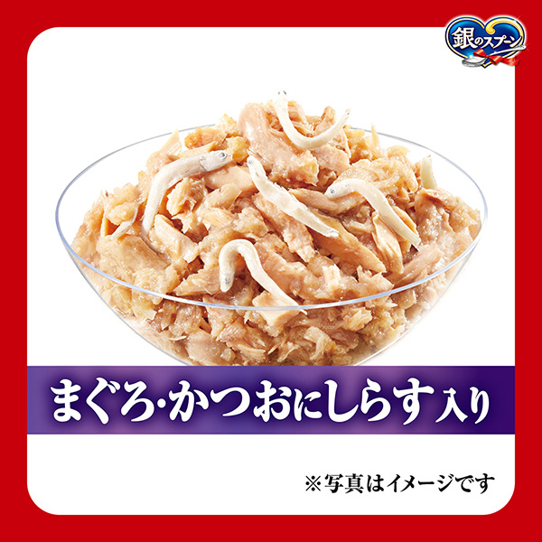 銀のスプーン レトルトパウチ 60g 12袋入 詰め合わせ 10箱 銀の