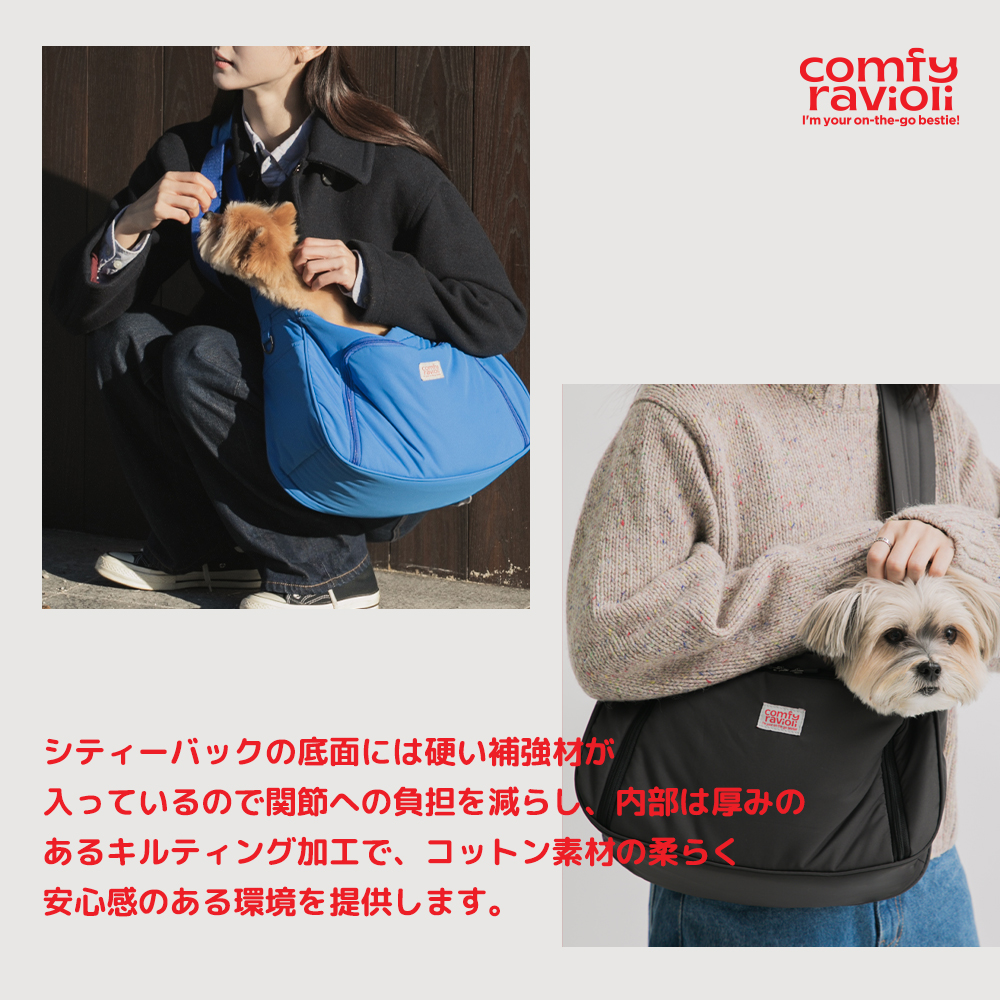 D・O・G WEBSTORE -BITE ME コンフィーラビオリ シティーバック-