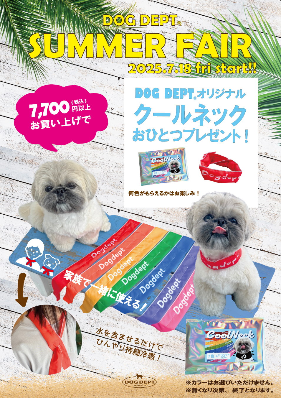 ドッグデプト ＜DOG DEPT＞ NEWS