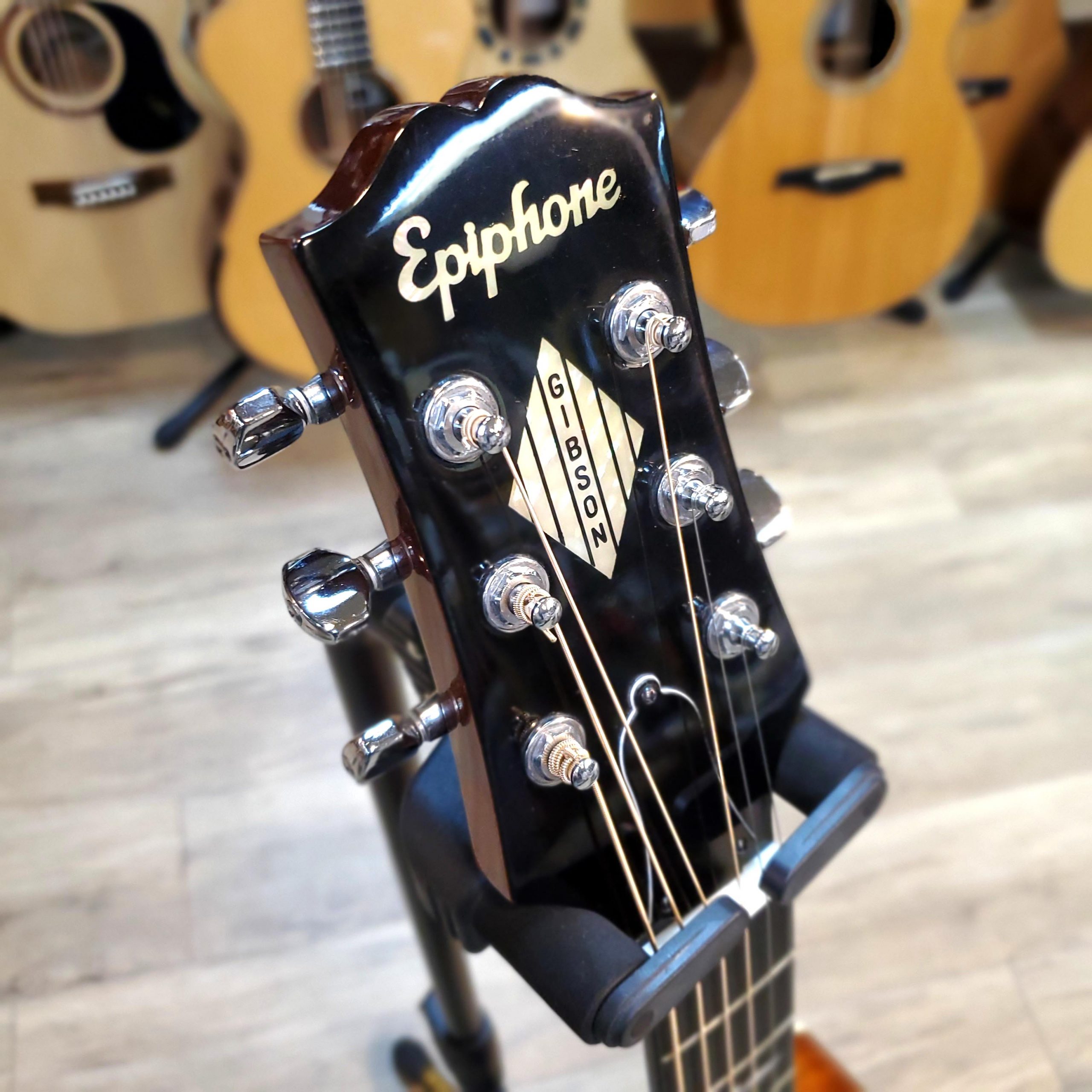 ドルフィンギターズ アコースティックギター・ウクレレ販売