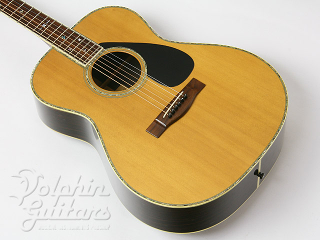 YAMAHA S-51|ドルフィンギターズ