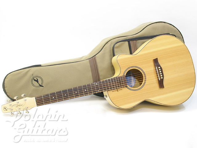 エレアコ ギター seagull Amber Trail シーガル Seagull (Canada