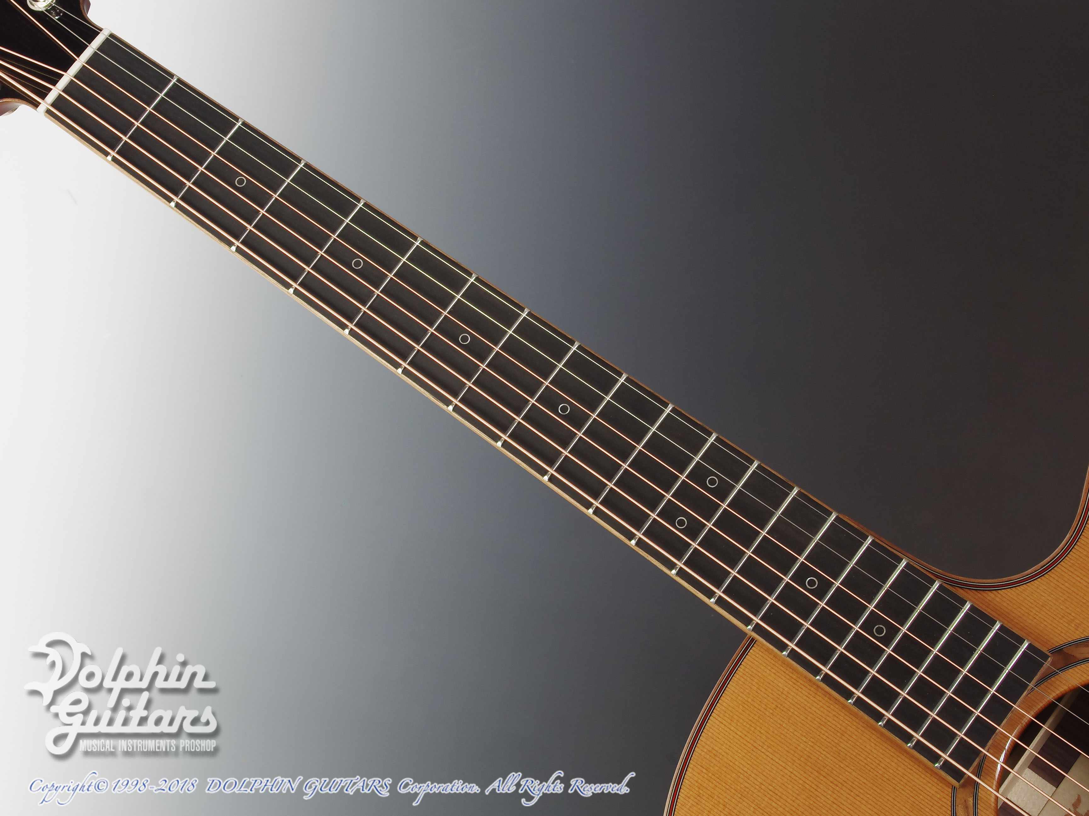 FURCH Orange Plus Gc-CR (Cedar & Indian Rosewood)|ドルフィンギターズ