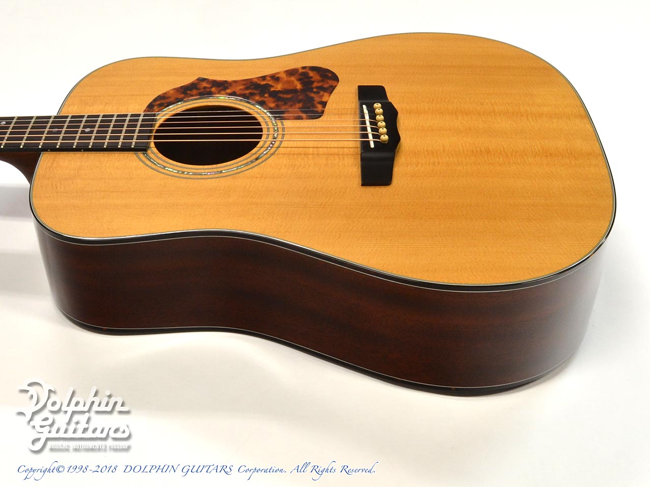 MORRIS M-80|ドルフィンギターズ