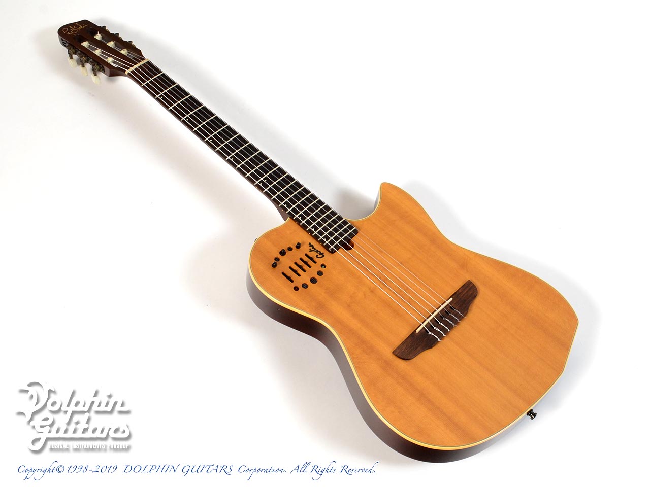 GODIN Duet Nylon Dual Source|ドルフィンギターズ