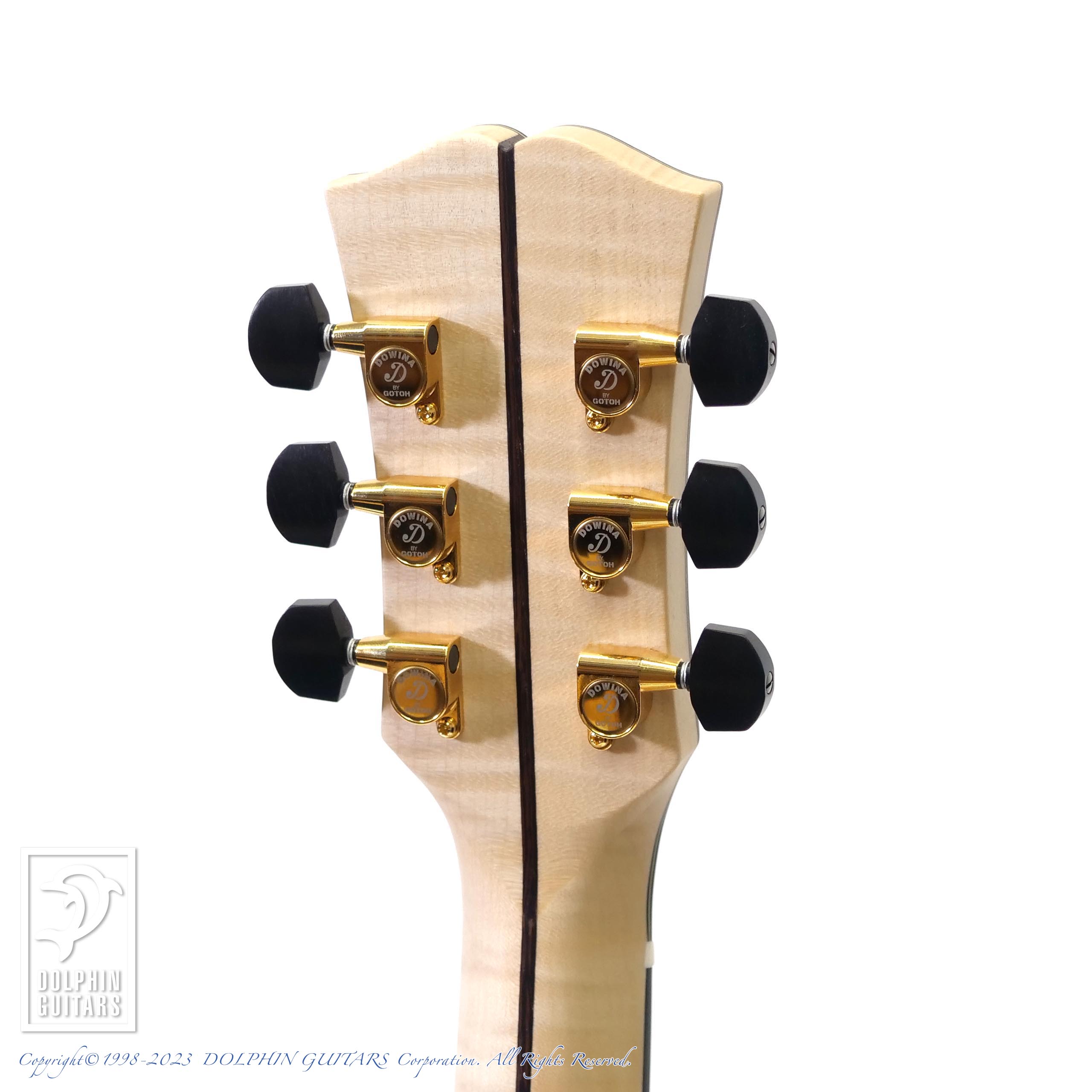 Dowina ACERO-GAC-DS|ドルフィンギターズ