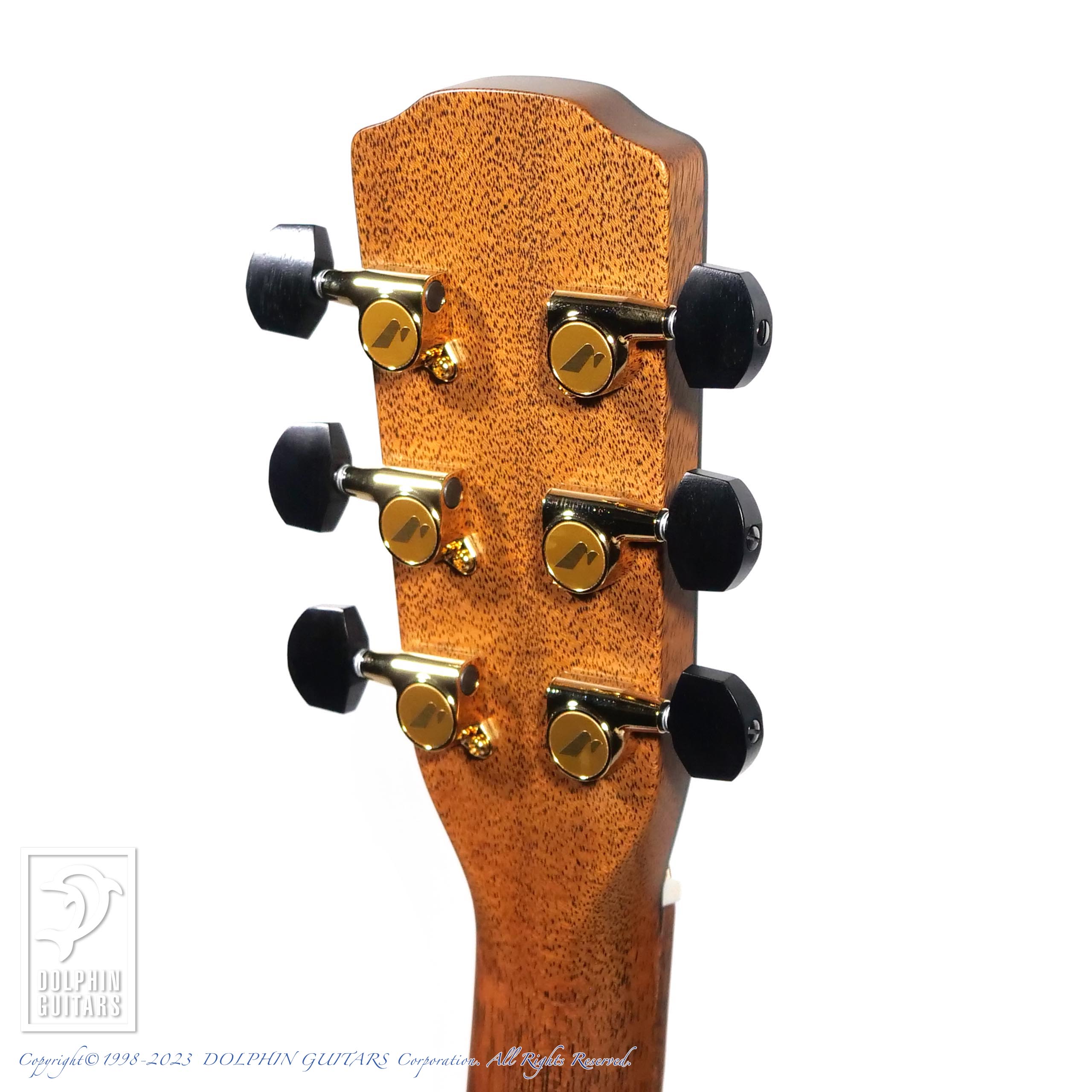 MORRIS M-104PH 2023 Limited Edition|ドルフィンギターズ