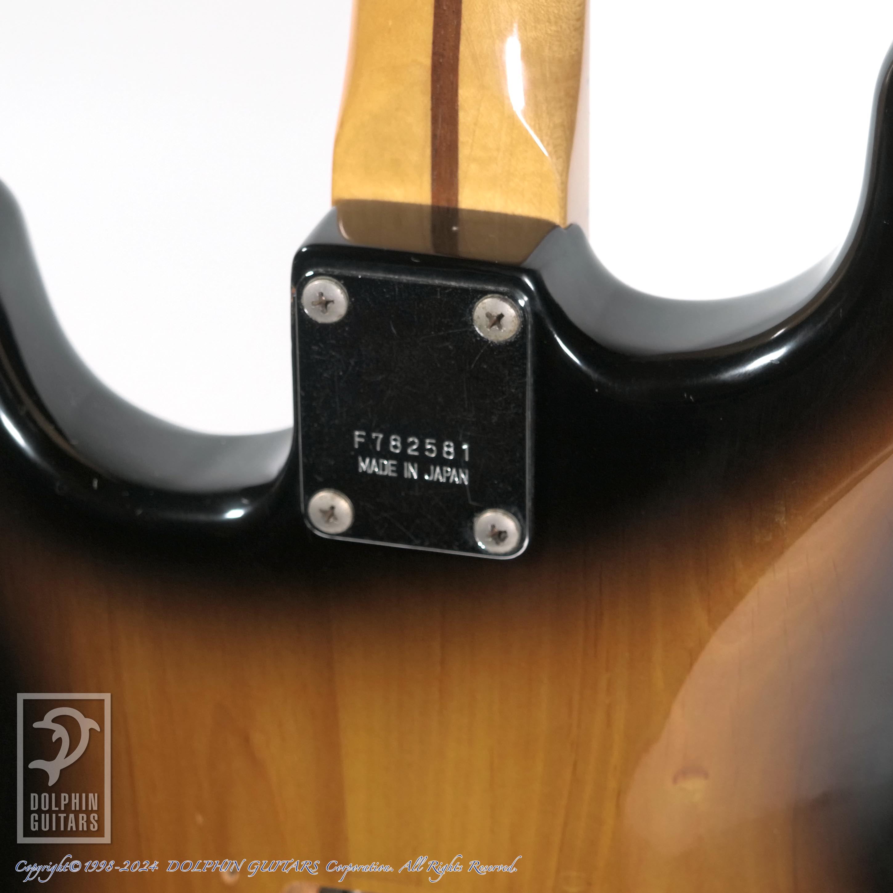 GRECO SE-800T SUPER SOUND|ドルフィンギターズ