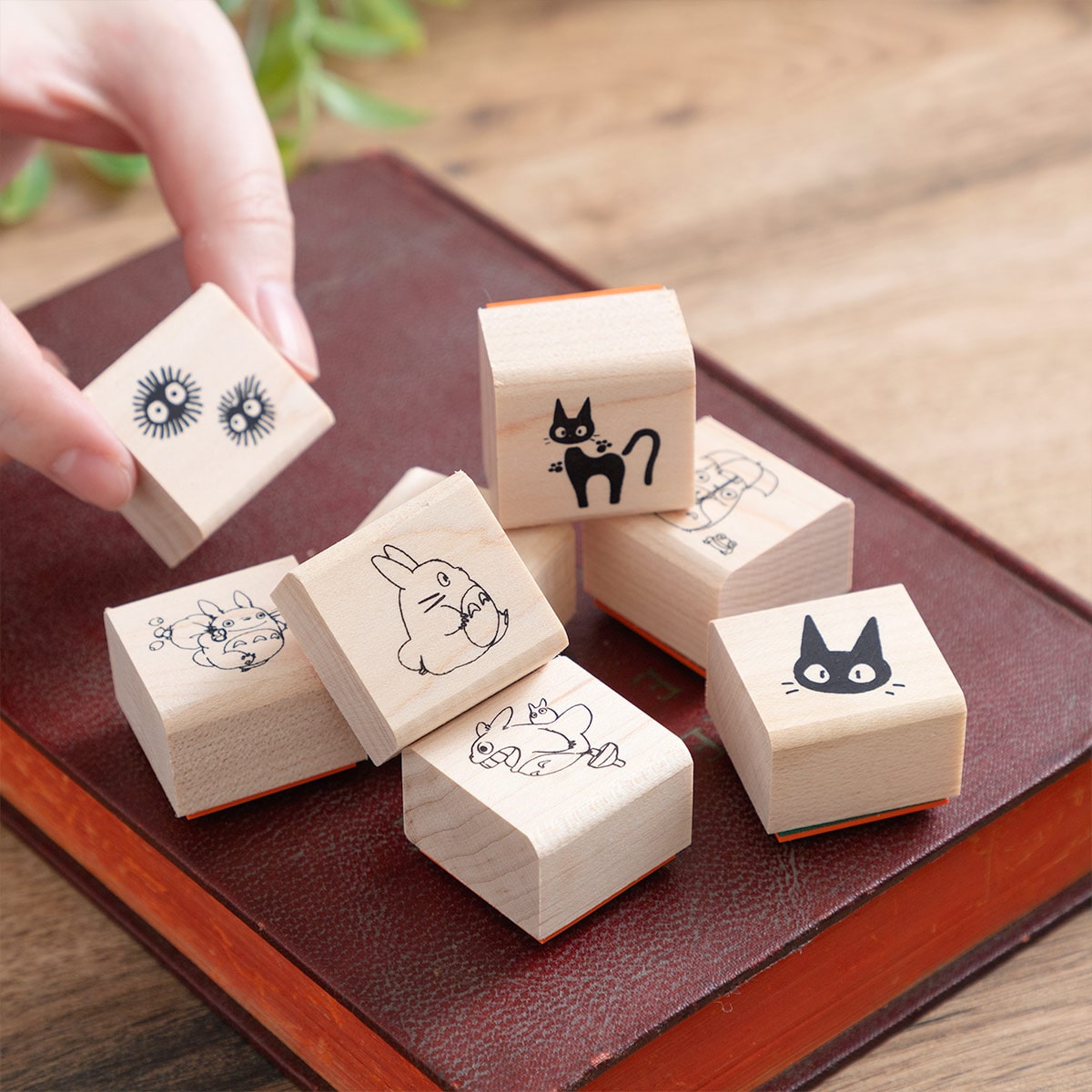 となりのトトロ きんちゃく すたんぷ トトロとコマ | どんぐり共和国