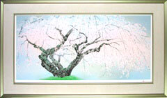 定価約35万 中島千波 「坪井の枝垂れ櫻」 リトグラフ 限定300部 2025年