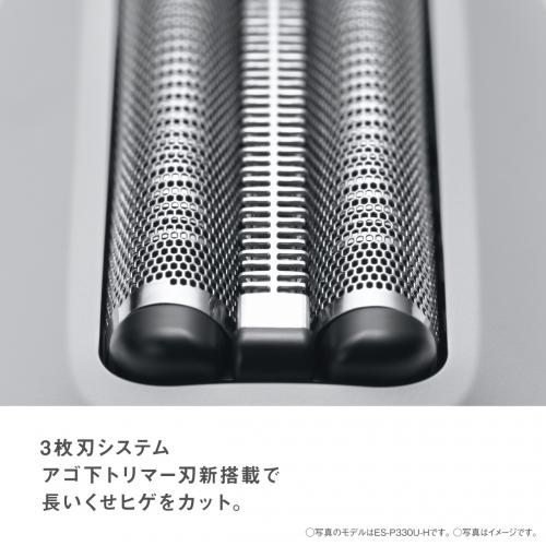 デンキチWeb / パナソニック Panasonic ラムダッシュ パームイン