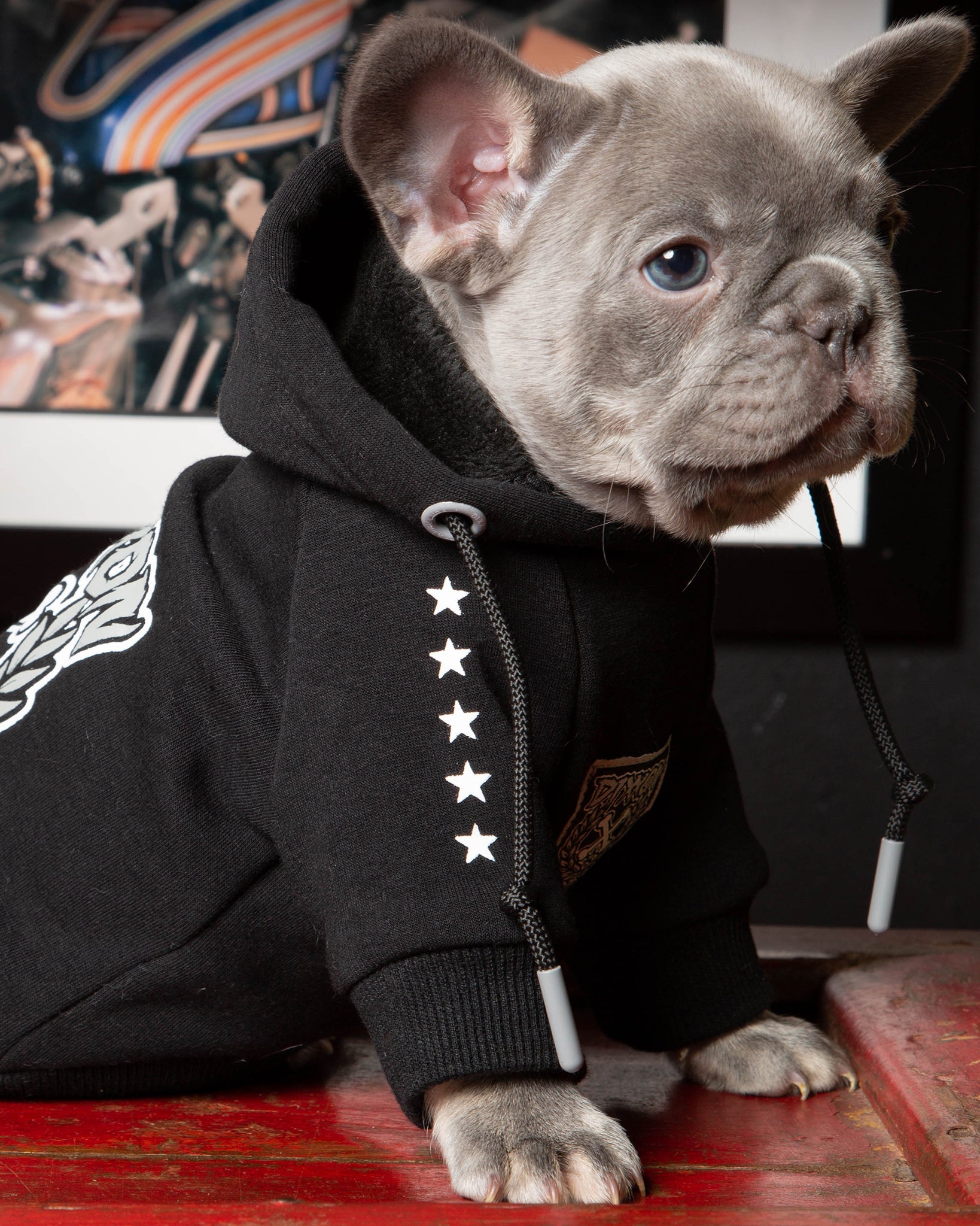 Dixxon Fur Family Dog Hoodie: Black & Gray - Shop Now!
