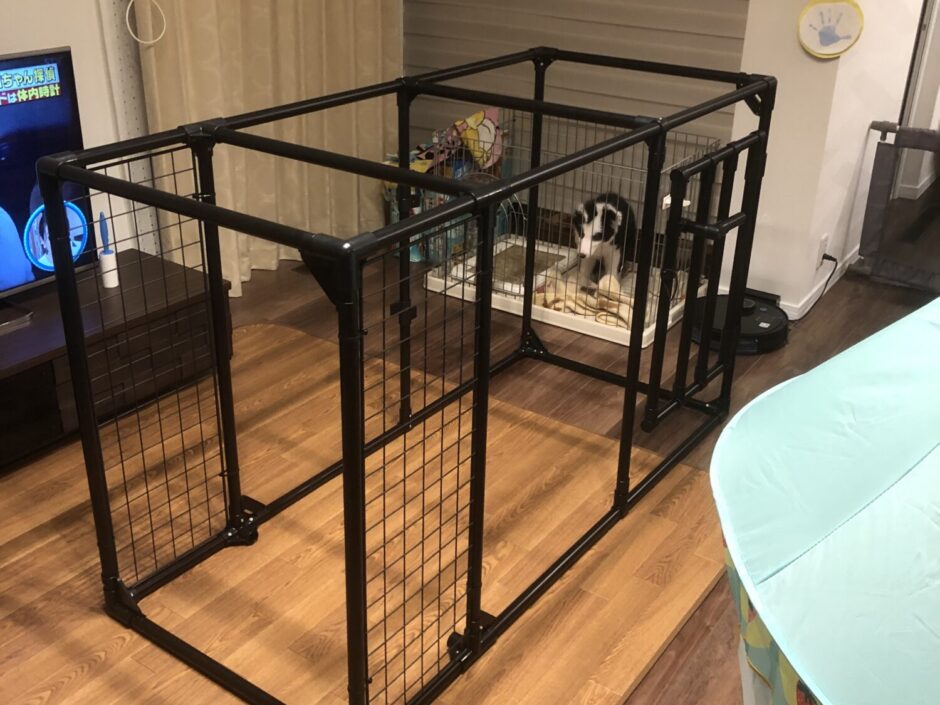 開放感のあるペットケージ｜Diy-Life - イレクターで、できるワクワクを。