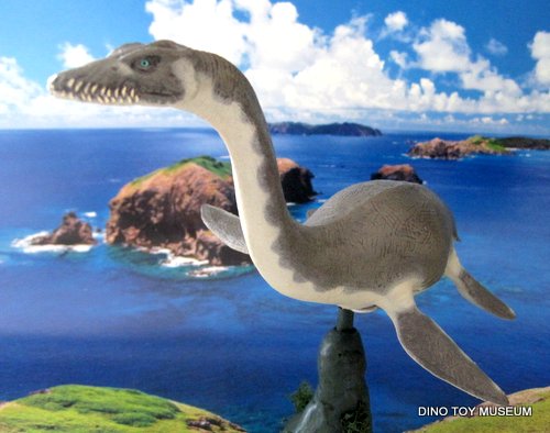 プレシオサウルスの歯 62mm 恐竜 No.1368 プレシオサウルスの歯 62mm