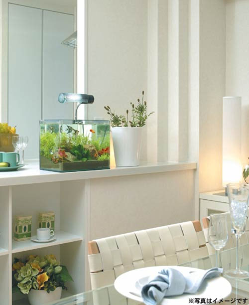 飼育用品・器具】【通販】【水槽】コトブキ レグラスR-450(淡水 海水用