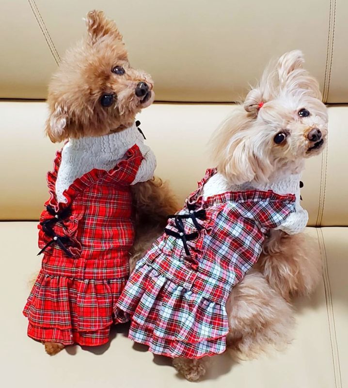 アランニット＆タータンチェックワンピース/オールインワン - D.W. Bambino