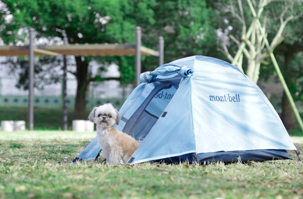 ドッグ ドーム｜モンベル モンベル ドギードーム スカイブルー SKB