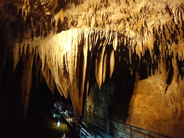 玉泉洞鍾乳洞格安