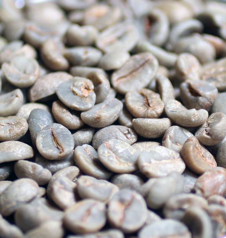 コーヒー生豆【1kg】ブラジル モジアナ