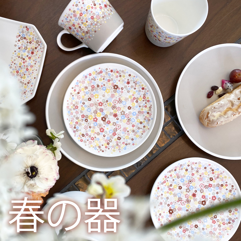 NARUMI ボーンチャイナ 花柄 プレート 10枚 NARUMI ボーンチャイナ 花