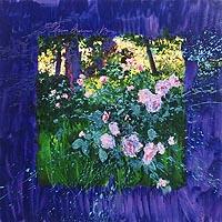 ブリリアントウォーター（カーク・レイナート）ならアンシャンテ