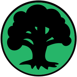 MTG, マジック:ザ・ギャザリング 通販 | ENNDAL GAMES / John Avon