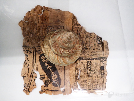 貴重な標本 | えのすいトリーター日誌 | 新江ノ島水族館