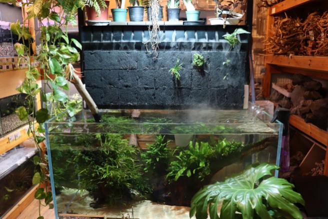 ADA DOOA ミストウォール セット MISTFLOW スタンド 水槽 水草 ADA