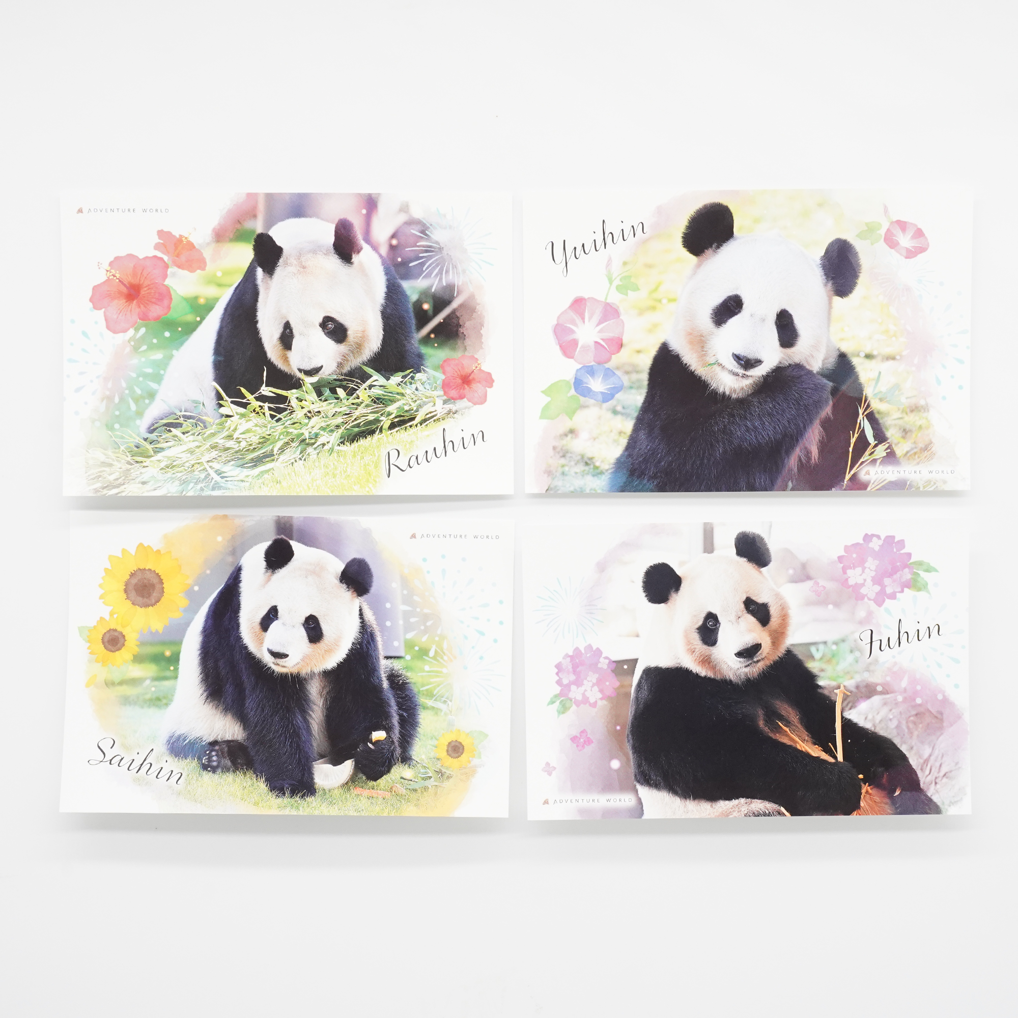 ポスト様 2014年&2015年 パンダ ポスト様 2014年&2015年 パンダ ポスト