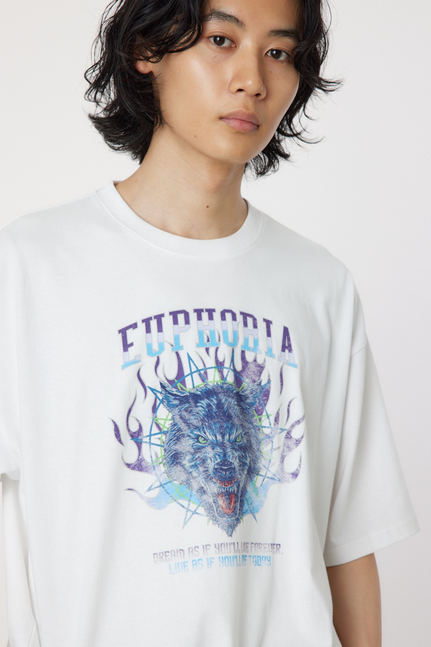 RODEO CROWNS WIDE BOWL | euphoria Tee (Tシャツ・カットソー(半袖