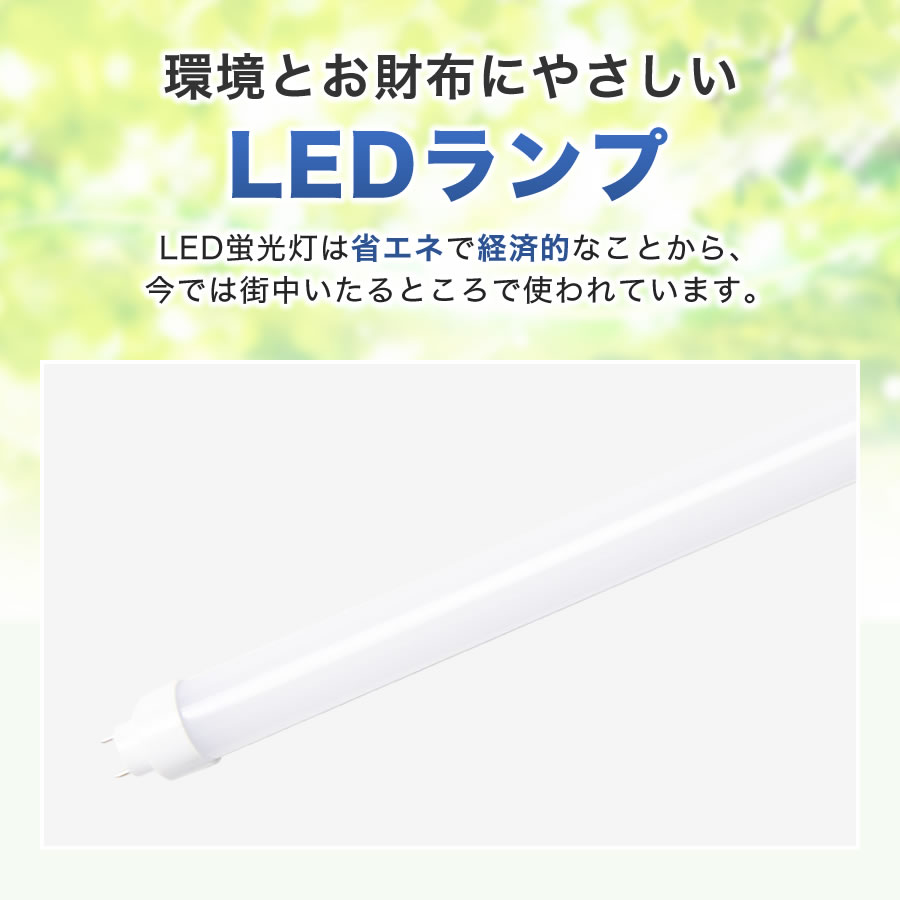 Eeeeマーケット（Produced by Eco Device） / 【人気】※10本セット