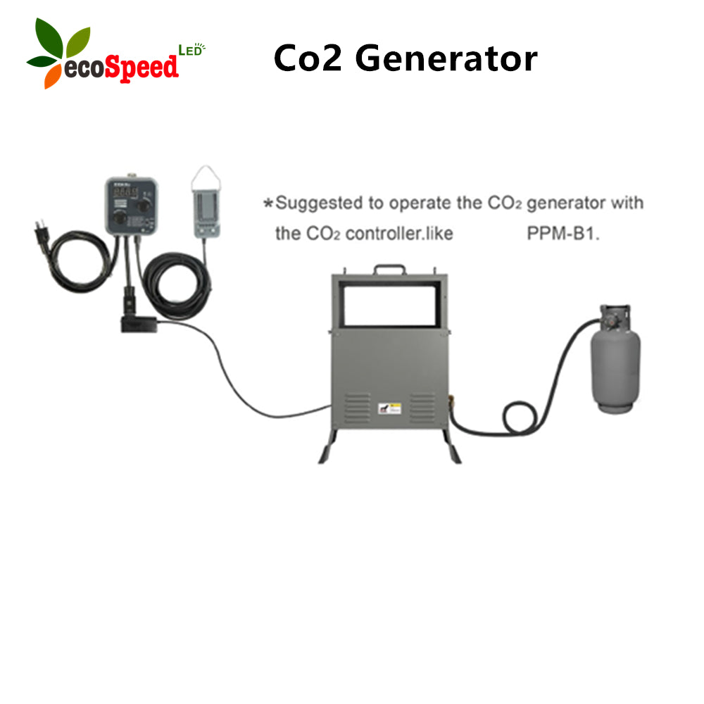 co21_1000x.jpg?v=1682323344