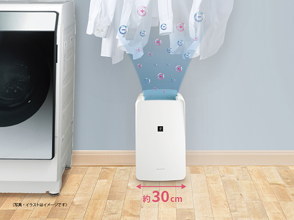 シャープ 衣類乾燥機 除湿機 12L 14畳 / 2020年モデル ホワイト Amazon