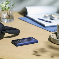 SONY NW-A307 L デジタルオーディオ(64GB) ウォークマン ブルー