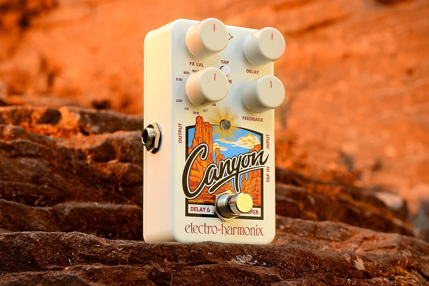 ギター electro-harmonix Canyon Delay & Looper 中古】 ELECTRO